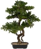 Atmosphera Bonsai Boom - Kunstplant - Groen - Keramische Pot - 86 cm