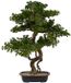 Atmosphera Bonsai Boom - Kunstplant - Groen - Keramische Pot - 86 cm