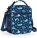 Sac à lunch isolé sans marque - Étanche - Avec porte-bouteille - Pour garçons - École et pique-nique - Bleu - Imprimé animaux marins - Petit