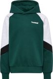 hummel hmlJR LOOSE BLOCKED HOODIE