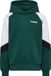 hummel hmlJR LOOSE BLOCKED HOODIE
