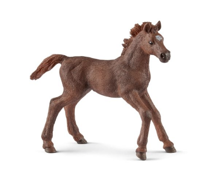 Schleich Wild Life English thoroughbred foal