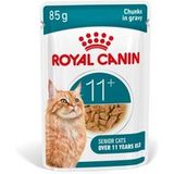 ROYAL CANIN natvoer voor katten, Senior Ageing 11+, Saus 12x85 g