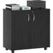 Armoire de bureau verrouillable multifonctionnelle à 2 portes et étagère intérieure, 80 x 40 x 80 cm, noire