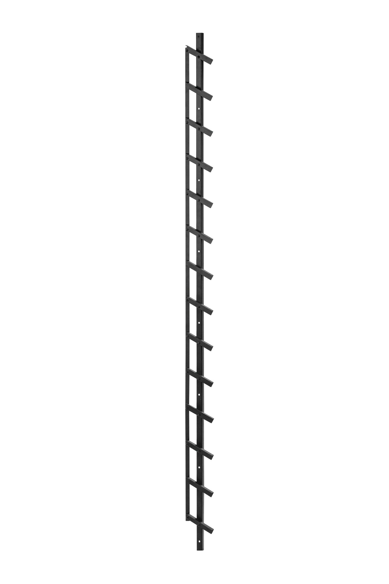 Tuindeco Flex Fence zwart gecoat RVS zelfbouwpakket, lengte 96 cm