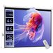 HOMCOM Gemotoriseerd Projectiescherm 84 inch 4:3 4K HD
