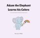 Adam the Elephant Learns his Colors: A cozy color adventure of learning, spying, and fun