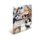 HERMA 19218 Verzamelmappen A3 dieren honden, 3 stuks
