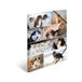 HERMA 19218 Verzamelmappen A3 dieren honden, 3 stuks