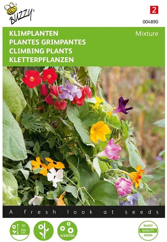 Buzzy PIETERPIK RETAIL B.V. Klimplanten Mengsel