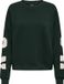 ONLY - ONLSWEAT L/S BACK/SLEEVE PRINT SWT NOOS Dames Trui