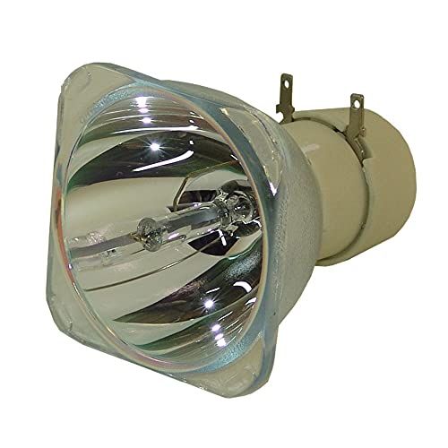 MZWNQ Compatible Blote Lamp POA-LMP138 POALMP138 LMP138 610-3464633 voor Sanyo PDG-DWL100 PDG-DXL100 Projector Lamp Zonder behuizing