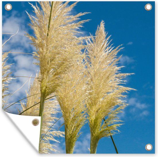 GreatGardenPosters Tuinposter Pampasgras - 200x200 cm - Buitenposter - Tuin - Landelijk