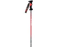 Vola Sl Carbon 12,5 Mm Stokken Zilver 115 cm