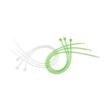 Fackelmann Kok-/bindkoord, siliconen rouladerkoord, braadsnoer voor vlees, groenten of vis (kleur: wit, groen), hoeveelheid: 6 stuks, 37 x 37 x 0,1 cm