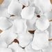 DIVERTY SEX - 100 Petals White