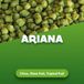 Ariana Houblon en pellets 100 g