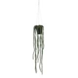 Mica Decorations Rhipsalis hangend in pot groen l62xd9cm