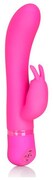 CalExotics Spellbound duo vibrator