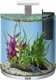 Tetra Aqua Art Explorer Line - Aquarium - 60 liter - Wit