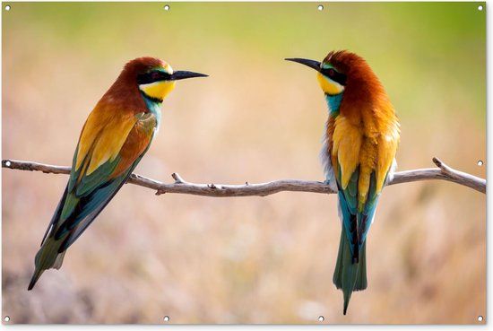 GreatGardenPosters Tuinposter - Vogel - Dieren - Tak - Geel - Blauw - 180x120 cm - Wanddecoratie buiten - Tuindoek - Tuindecoratie