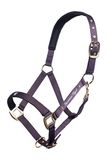HKM Lavender Bay Holster Donkerpaars Warm Bloed