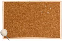 Zeller Prikbord - 58 x 39 cm - Hout - Multi