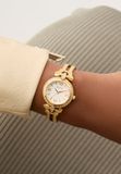 Guess Delphine GW0864L1, GW0864L2 Dames Horloge Goudkleurig