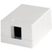 Telegärtner H02000A0064 - Blanc - Sans vis - RJ-45 - 45,7 mm - 30,5 mm - 6,41 cm