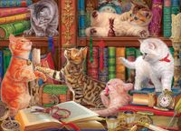 Eurographics Bibliotheek Kittens Puzzle - 1000 pièces