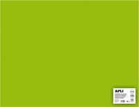 APLI Fluor Groen Karton 50 x 65 cm 170 g/m² - 25 vel