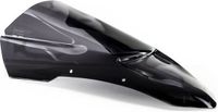 Puig Z-racing Aprilia Tuono 1000r Voorruit Dark Smoke