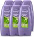 Andrélon 6 x Iedere Dag Conditioner - Pour Usage Quotidien - 250 ml - Lot économique
