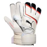 King PUMA King Match RC