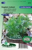 Sluis Garden Tagetes filifolia Licoboost Dropplant - Zaden