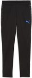 Puma Individualcup Trainingsbroek Zwart S Man