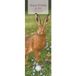 CAROUSEL CALENDARS Robert Fuller British Wildlife Kalender 2027 Slimline Wandkalender