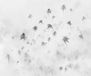 Komar Fotobehang - Salty Sea 300x250cm - Vliesbehang