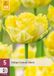 Jub Tulipa Lemon Shoot bloembol JUB 5 stuks