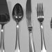 Pinti Messenset, Roestvrij Staal, Fruit, Byron, Handvat en Kabel