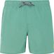 Protest zwemshort garçon Frosty Green