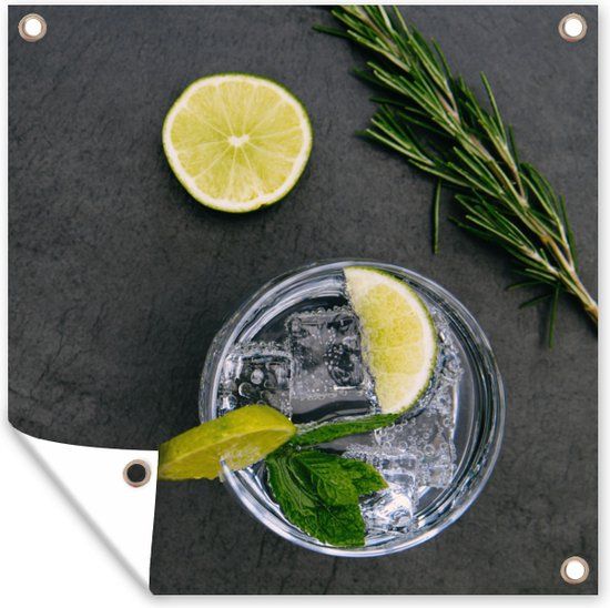 GreatGardenPosters Tuinposter Cocktail - Glas - Limoen - 50x50 cm - PVC - Vierkant - Buiten