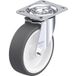 Blickle L-POTH 125G Zwenkwiel Wieldiameter: 125 mm Draagvermogen (max.): 250 kg 1 stuk(s)