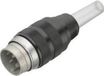 binder 09-0041-00-07 Ronde connector Stekker, recht Totaal aantal polen: 7 1 stuk(s)