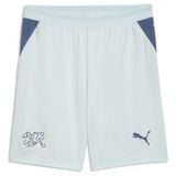 PUMA Sportbroek 'Schweiz 2026' navy / lichtblauw