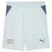 PUMA Sportbroek 'Schweiz 2026' navy / lichtblauw