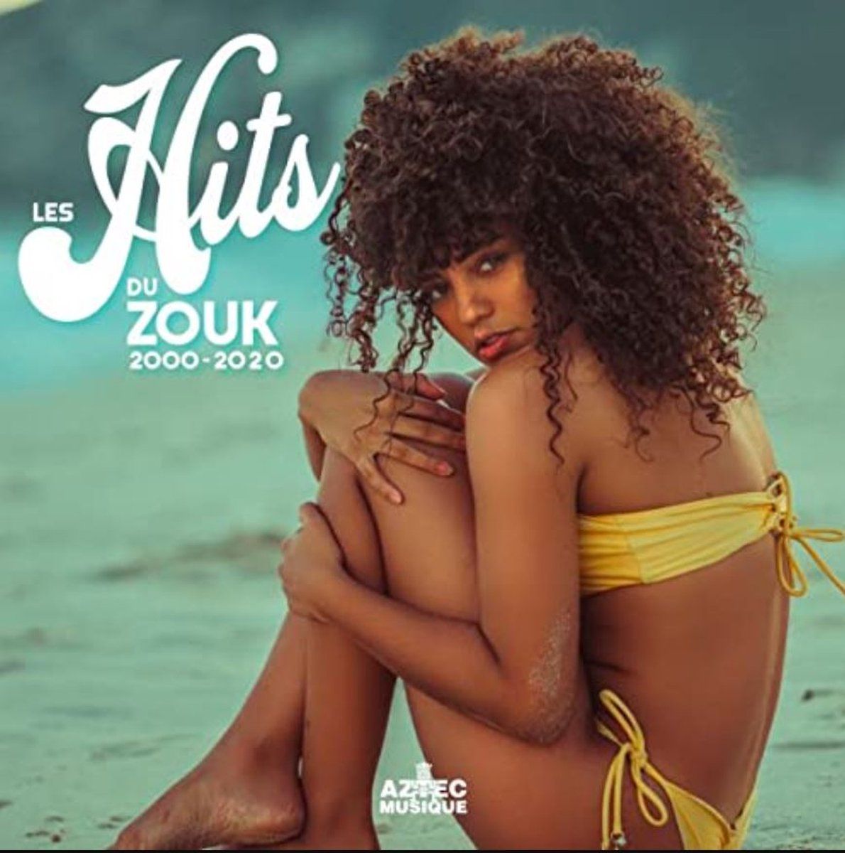 PIAS Nederland Les Hits Du Zouk 2000 - 2020