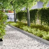 vidaXL Tuinrand 30 stuks 100 x 0.05 x 20 cm gegalvaniseerd staal zilver