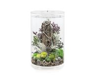 biOrb Tube 30 MCR wit - design aquarium, complete set met filtersysteem, 360 graden zicht