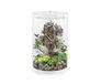 biOrb Tube 30 MCR wit - design aquarium, complete set met filtersysteem, 360 graden zicht